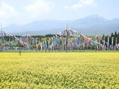 DSCN2630