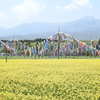 DSCN2630