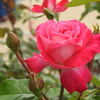DSCN2834