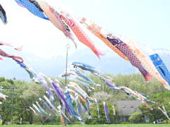 DSCN2645