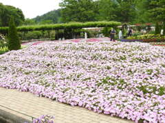 DSCN2795