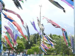 DSCN2646