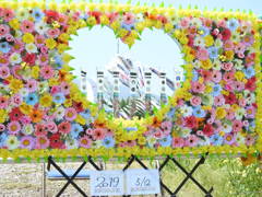 DSCN2635