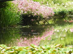 DSCN2798