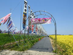DSCN2613