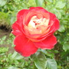 DSCN3288