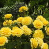 DSCN2826