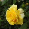 DSCN2838