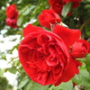 DSCN2837