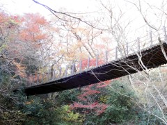 汐見滝吊り橋