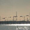 大空への旅たち