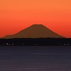 富士山を祈る牛久大仏＜行方市＞