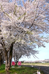 角館の朝