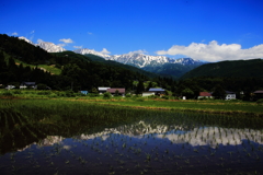 田園風景と白馬連山