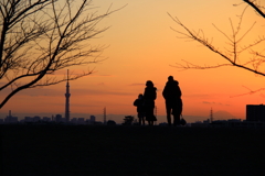 江戸川土手夕景