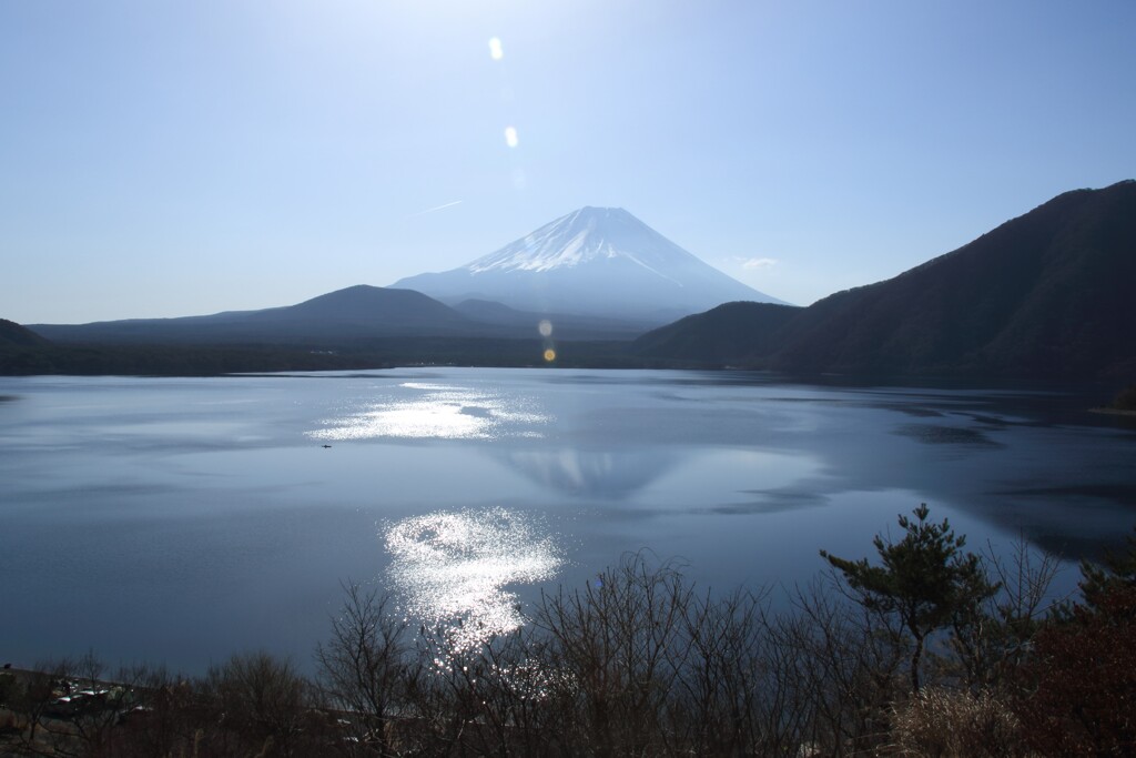 春霞富士