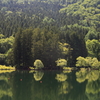 新緑の北竜湖