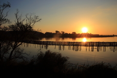 北浦湖畔からの日の出