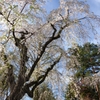春のよそおい