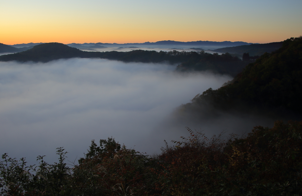 川霧の里山