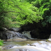 青葉の滝