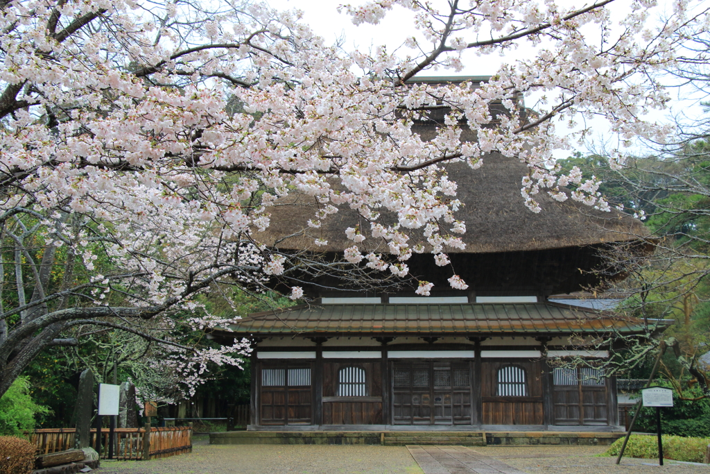 雨の長勝寺