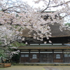 雨の長勝寺