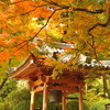 大興善寺の秋