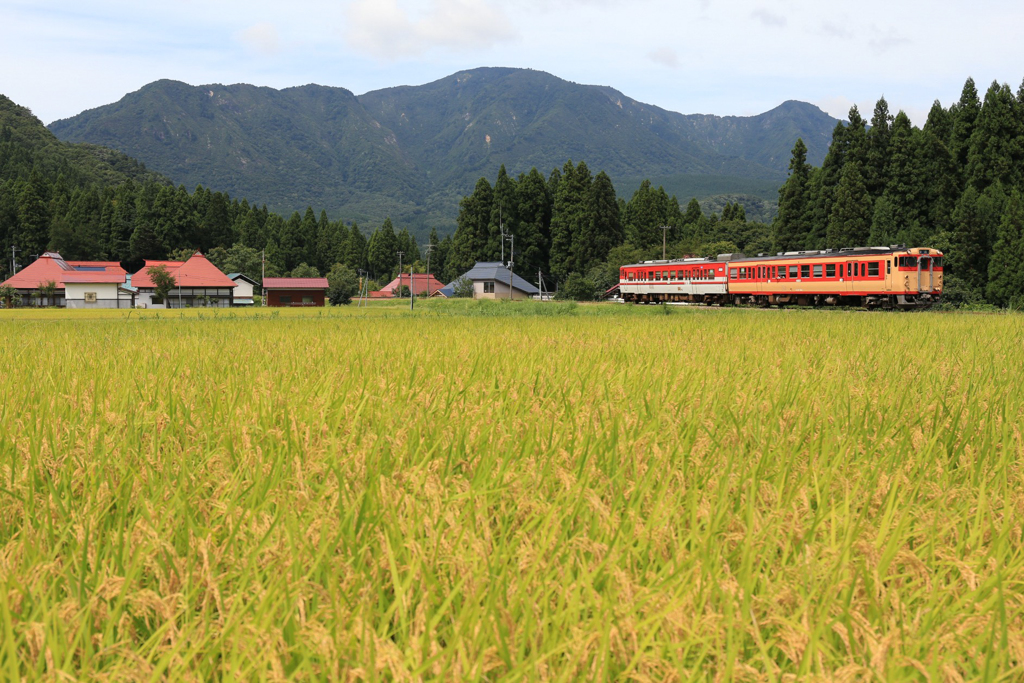 平瀬