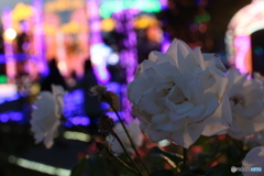 脇役
