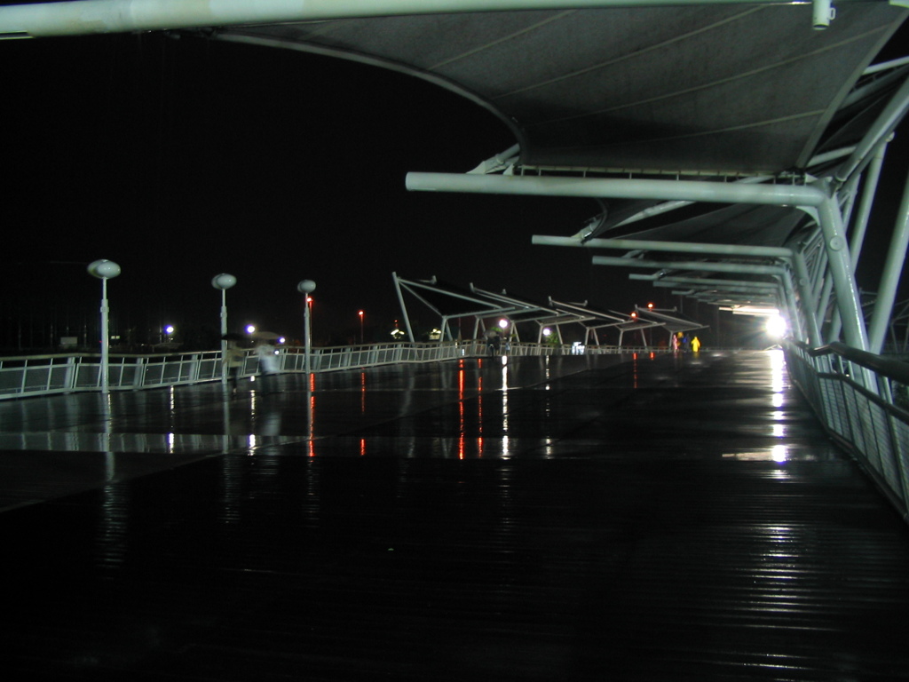 グローバル・ループ2 2009 PowerShot A70
