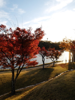 紅葉9 2017 FUJIFILM X20