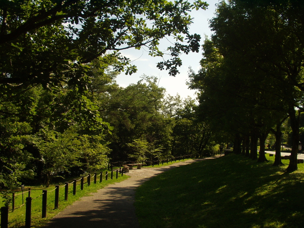 公園の歩道1 2018 C-2 Zoom