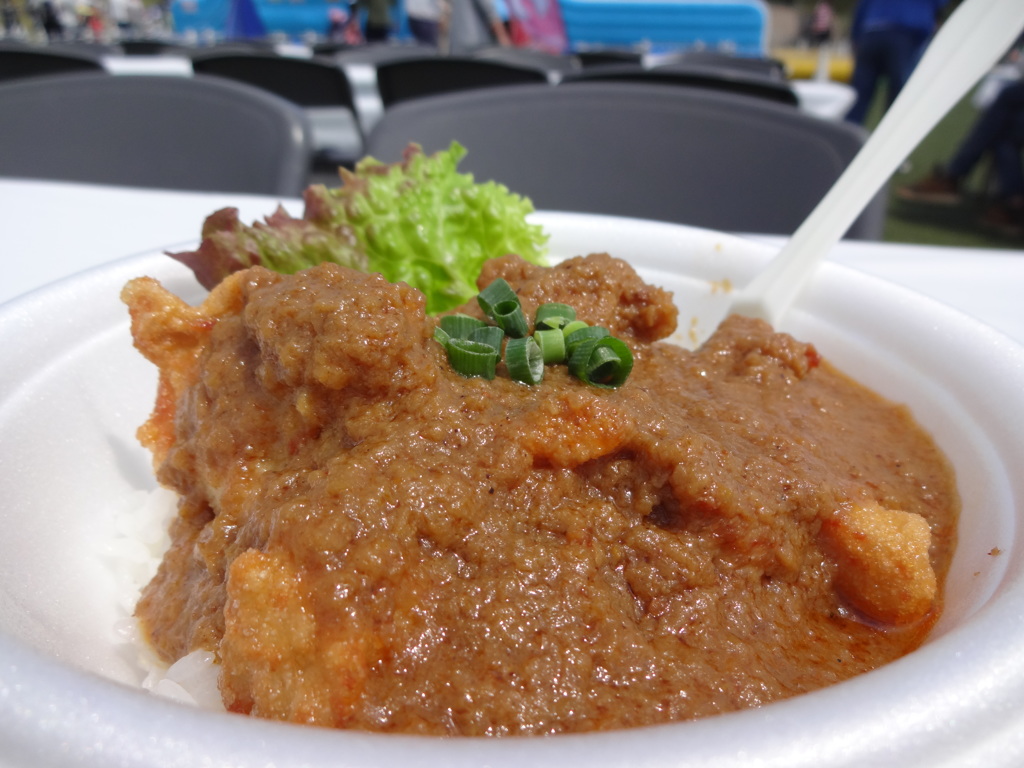 ブータン風チキンカレー1 2019 DSC-WX170