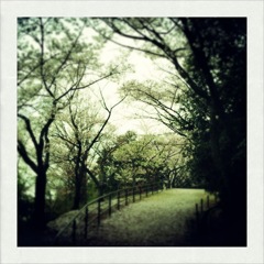 桜1 2012 iPhone 4S