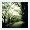 桜1 2012 iPhone 4S