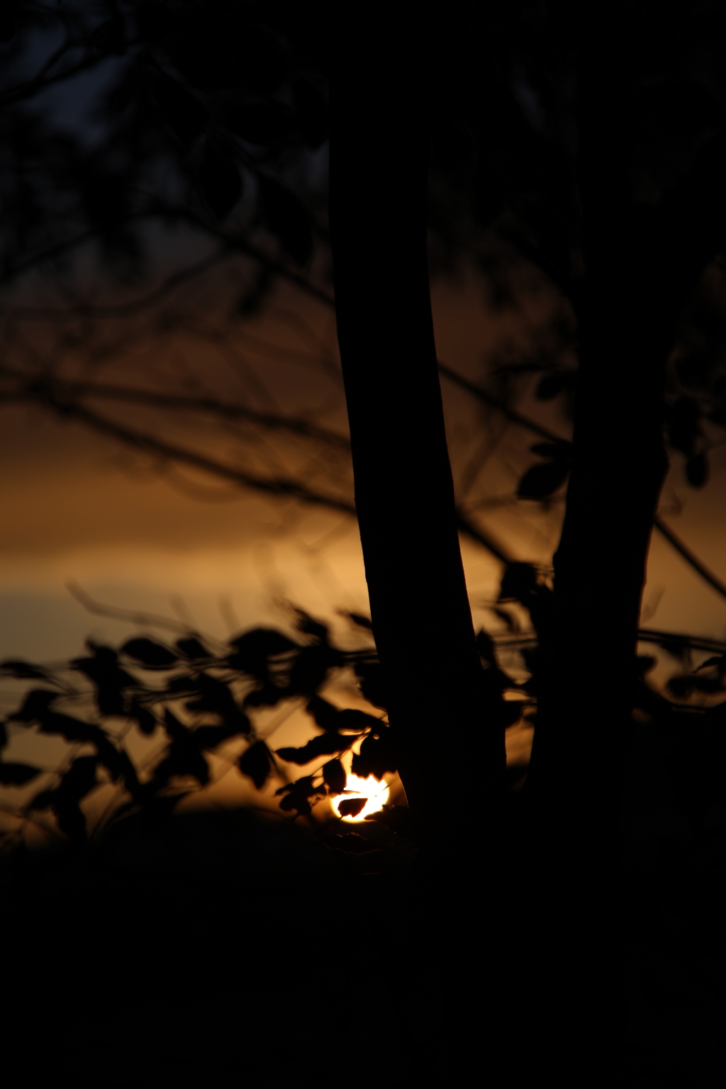 自宅窓からの夕日シリーズ