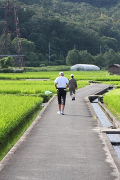 この道を走るのは気持ちいい