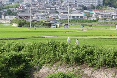 毎日いきいき生活