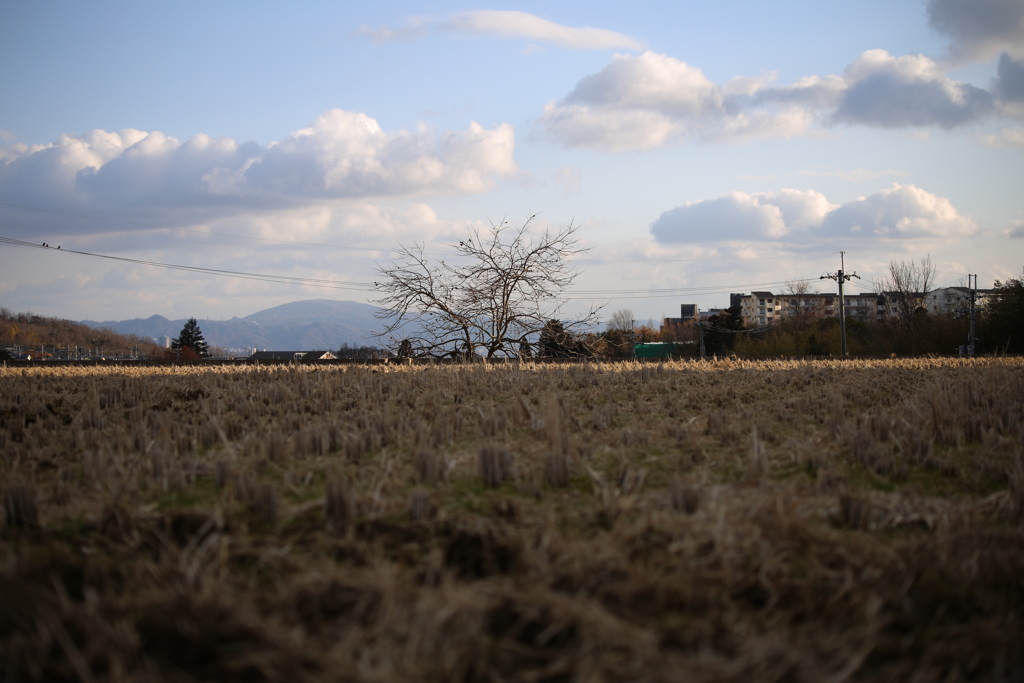  田んぼからのワンショット