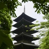 東寺 五重の塔