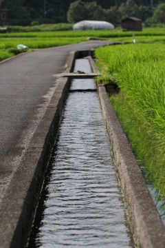 水路には豊富な水、梅雨はこの為にある