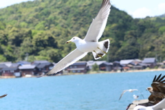 気持ち良さそう〜！