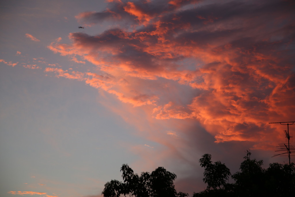 紅雲