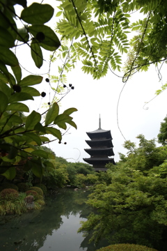 東寺 五重の塔