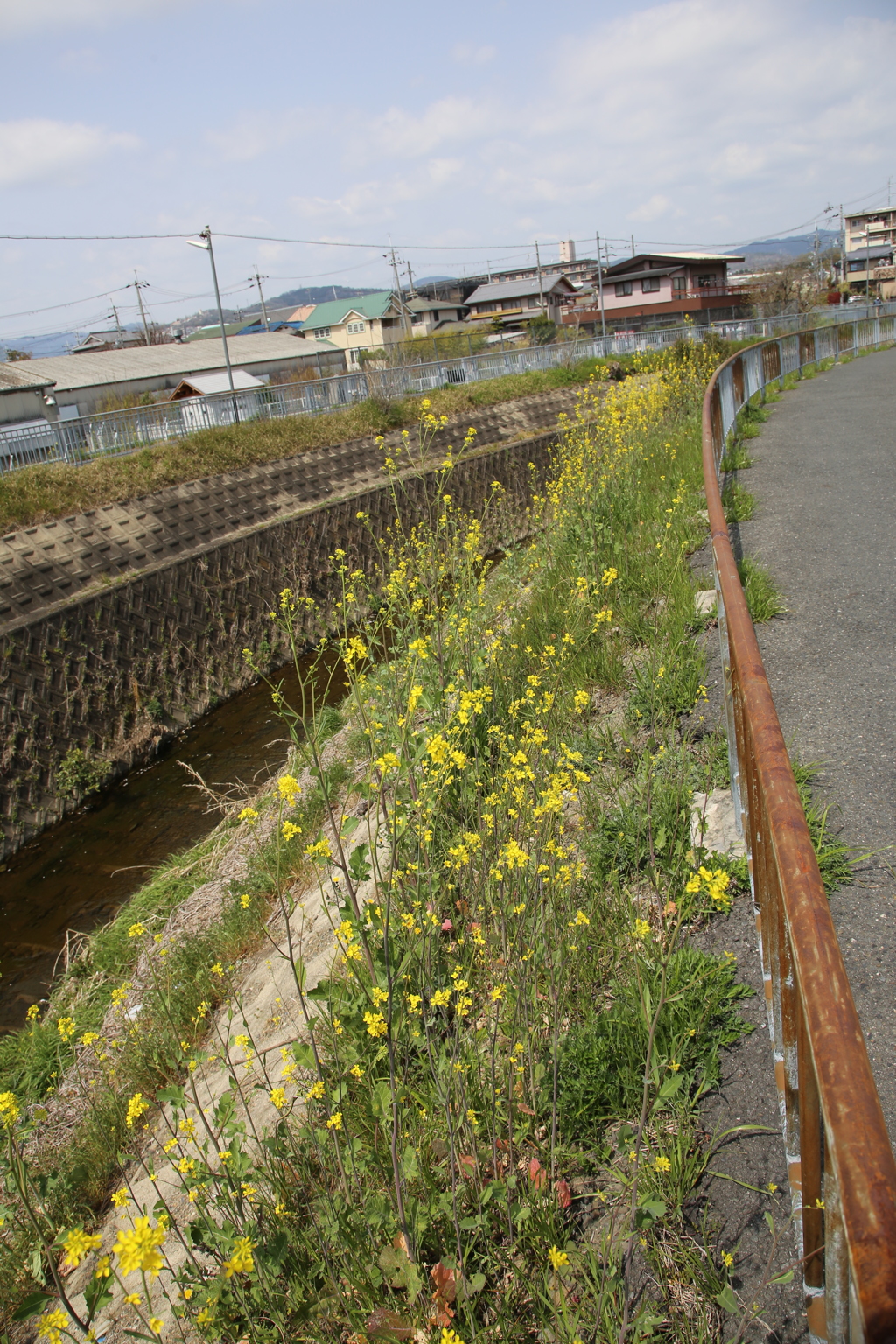 おっさんぽ 綺麗〜