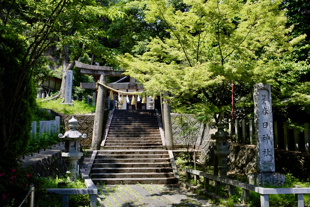 お天気よろし、緑があざやか