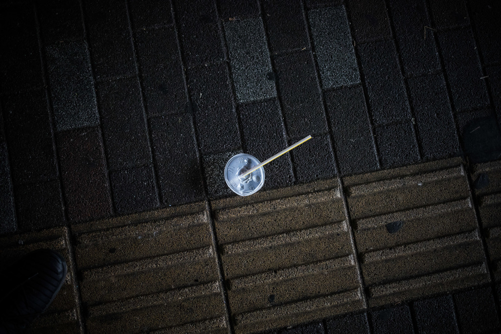 NEKO8251