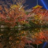 1B45615D-2E72-4A48-92E2-7E18FE5C9F7C