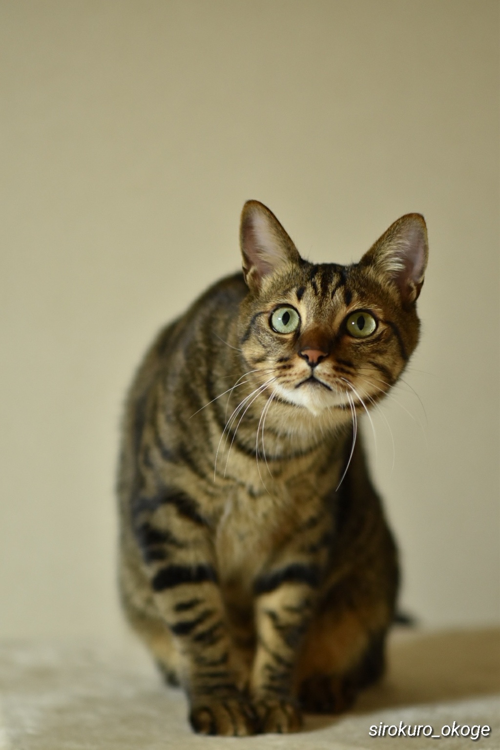 なんなんだぁー？あれは？？